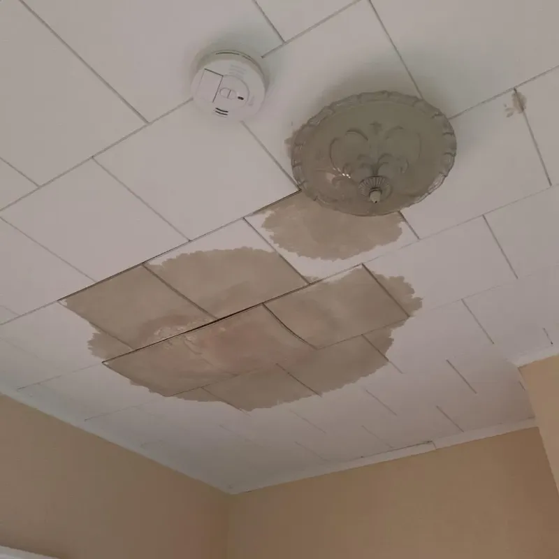 Ceiling Water Damage Repair in Edgar County, IL