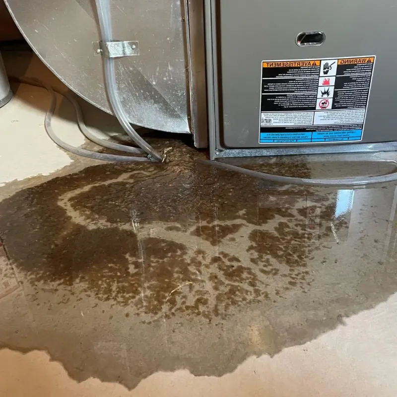 Pipe Burst and Leak Restoration in Edgar County, IL