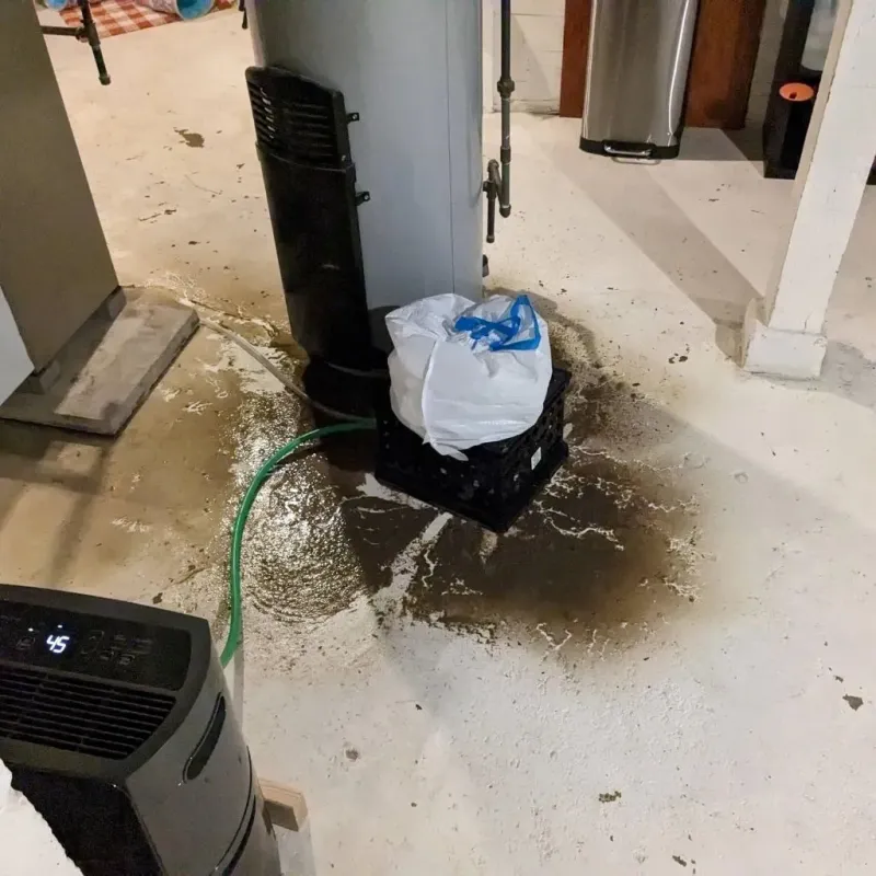 Sewage Backup Cleanup Service in Edgar County, IL